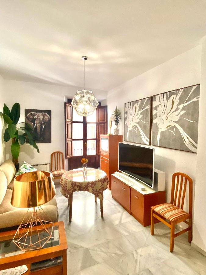 Bonito Y Acogedor Apartamento Pleno Centro Junto Catedral グラナダ エクステリア 写真